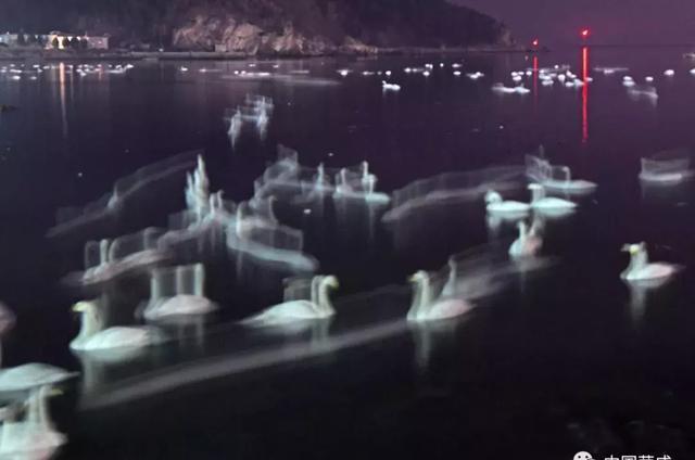 《流光》—李元國
